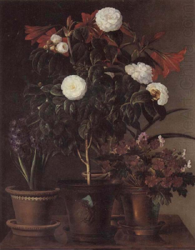 Gardenia and Amaryllis, Jensen Johan